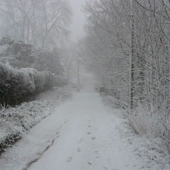 Big Fluffy Flakes........First Snow (2)