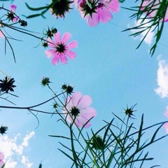 Lhagvasuren - Uzesgelent Mine / Лхагвасүрэн - Үзэсгэлэнт Минь