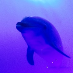 너에게 나에게 (Other World)