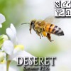 Where Does The Word “Deseret” Come From? #236