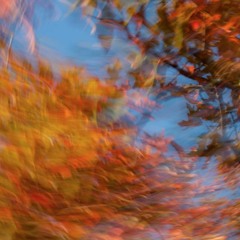 Leaf in the Wind (Piano Improv)