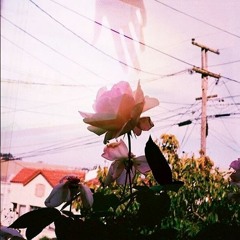 Korey Wade X bryZone_ybp // Faded