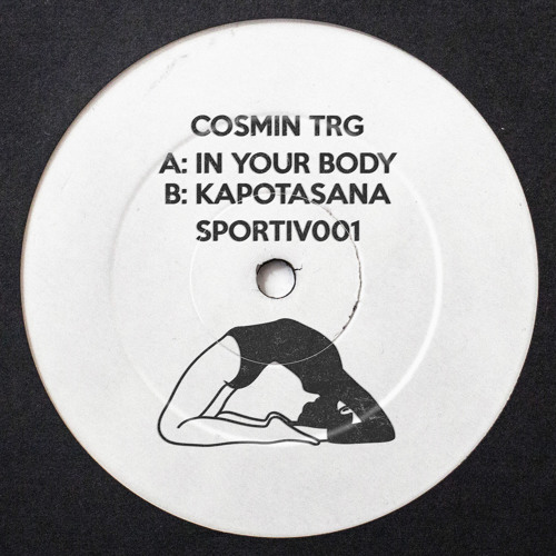 Stream In Your Body by Cosmin TRG | Listen online for free on SoundCloud