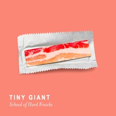 School of Hard Knocks