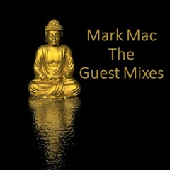 Guest Mixes