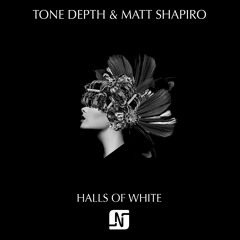 PREMIERE: Tone Depth & Matt Shapiro - Halls Of White (Noir Remix)