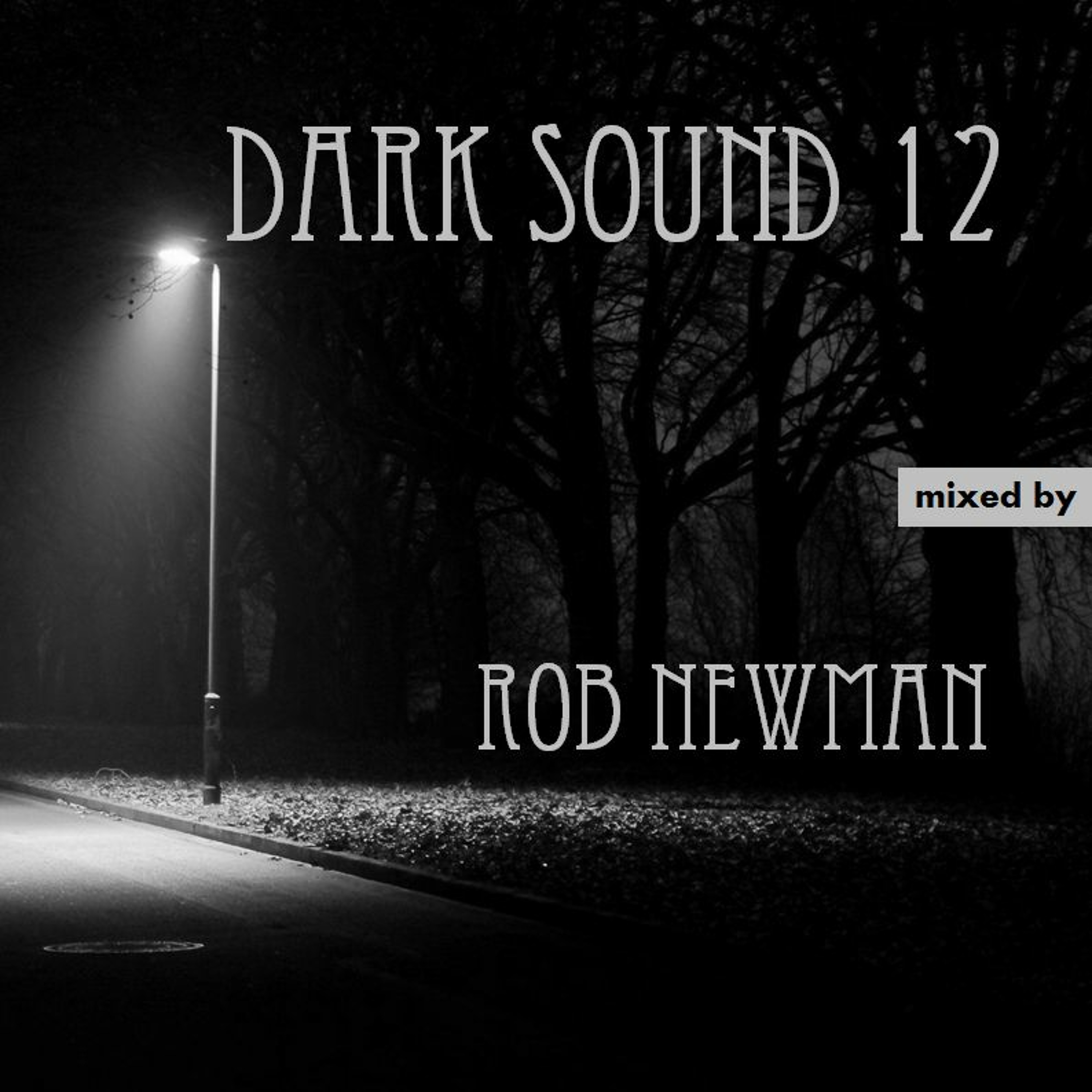 Rob Newman