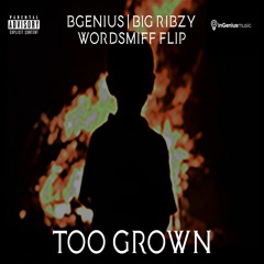 BGenius - Too Grown (Featuring Big Ribzy, Wordsmiff FLIP, Produced by BGenius)