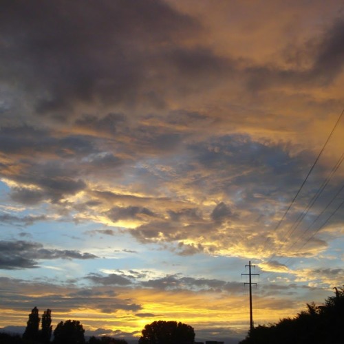 Indie Alternative Wave