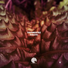Tripmastaz - Blossomz (CAL031) [teaser]