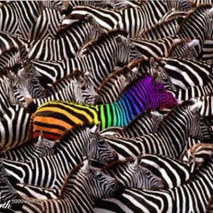Stand Out