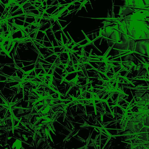 CMD live at the plant 11.18.2016