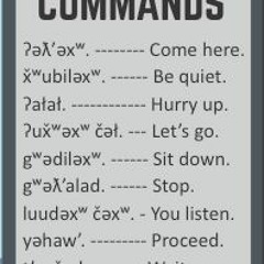 Twulshootseed Commands