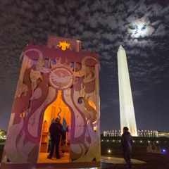 anandroid at Catharsis on the Mall 2016