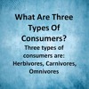 What Are Three Types Of Consumers?