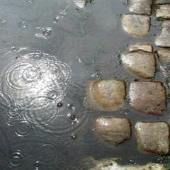 Львівський Дощ / Lviv`s Rain (feat. Vexlarsky)