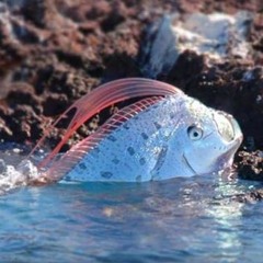 S02E04 - Det er på tide å bli seriøs