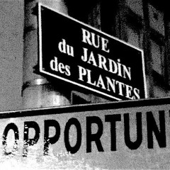 Clignoti (par Amandine)