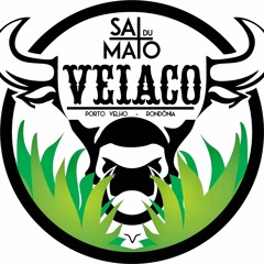 TIÃO CARREIRO E PARDINHO MODAS DE VIOLA