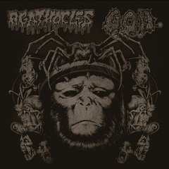 11. Agathocles- Straight Lane