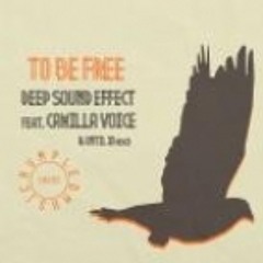 Deep Sound Effect Feat Camilla Voice - To Be Free (Original Mix)