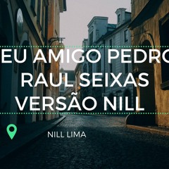 Meu Amigo Pedro - Raul Seixas - Versao  Nil Lima