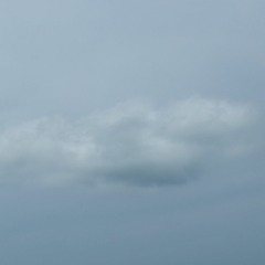 Mist   1987