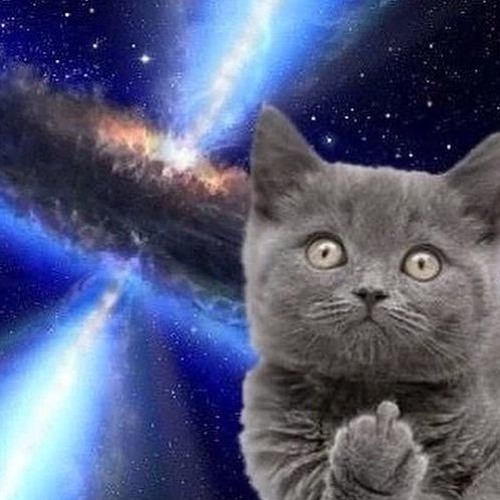 How about no meme dr evil