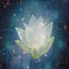 Lotus Of Illumination
