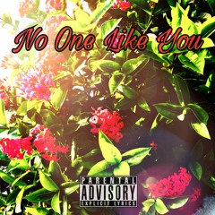No One Like You