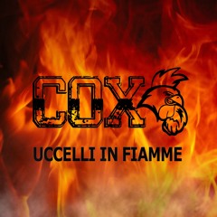 COX "Uccelli In Fiamme" (Dj Fake Plastic & Mish Edit)