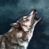 Aullando A La Luna