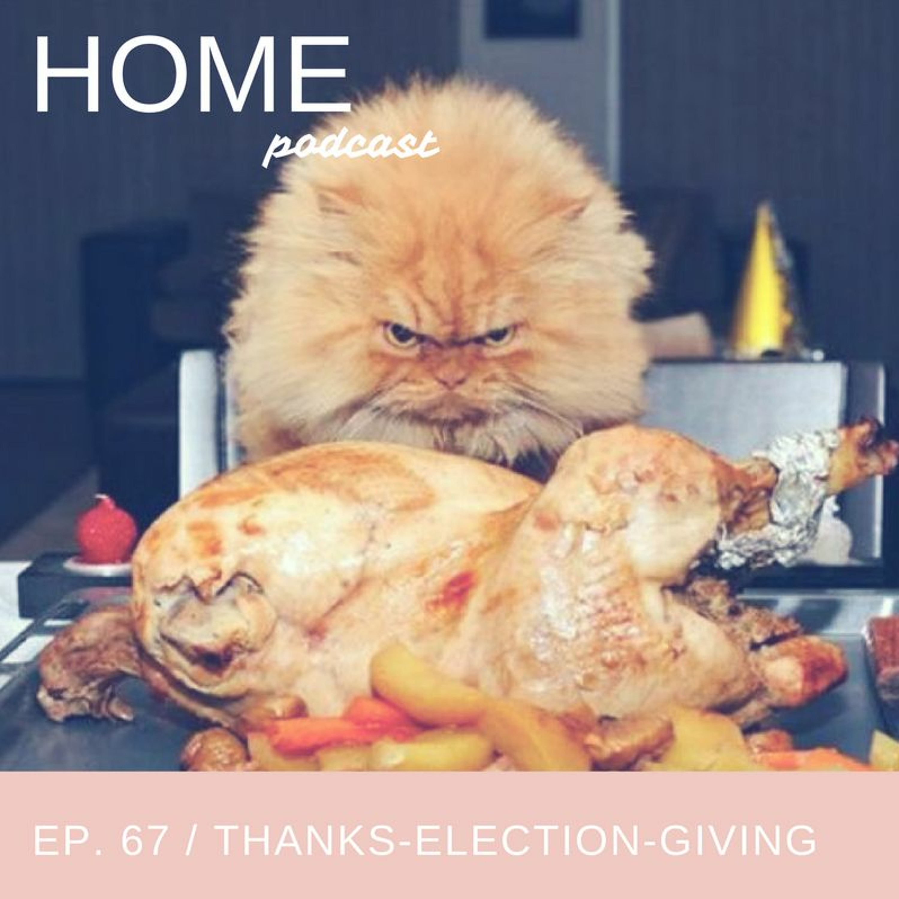 cover of episode Episode 67: Thanks-Election-Giving