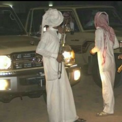شيلة عاصفه الحزم