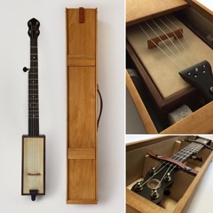 Wildwood Flower -- Played on the Cleage-Wills Travel Banjo