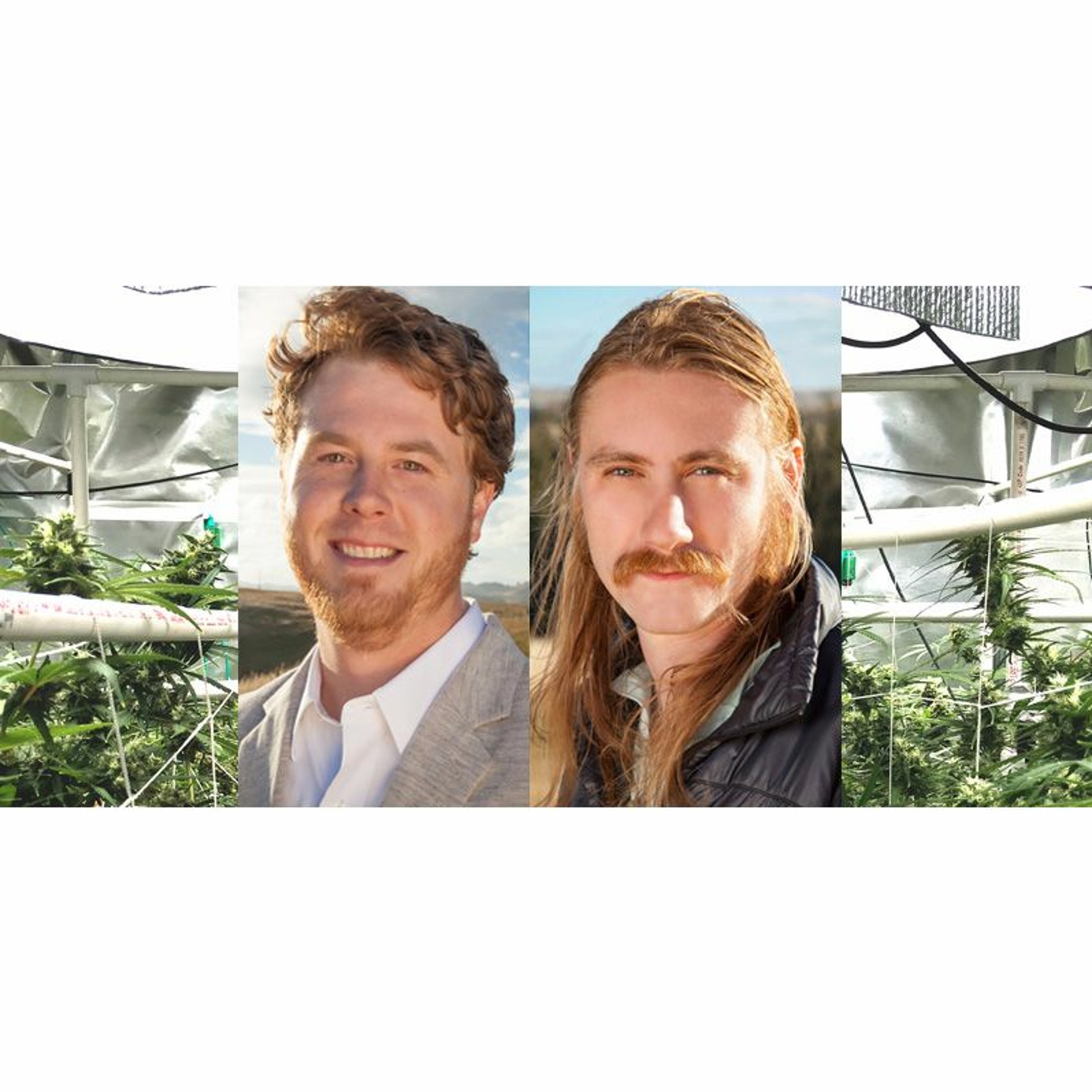 The Ganjapreneur Podcast