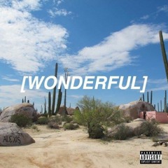 Wonderful (Freestyle)