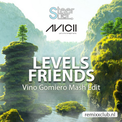 Friends Levels (Vino Gomiero Mash Edit)
