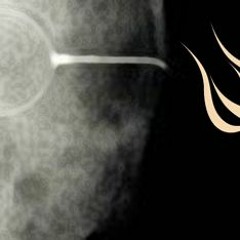 Selected Works Autumn 2016 vol. 13