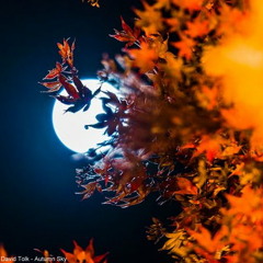 David Tolk - Autumn Sky