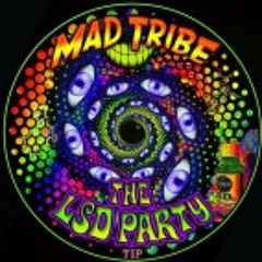 Mad Tribe - LSD Party (Meltdown) (Original Mix)