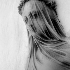 inferious spectral t...