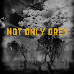 McAlvis - Not Only Grey