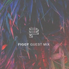 Figgy - Guest Mix (Acid Stag Exclusive)