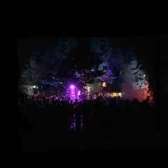 Faray! Artlake Festival 2016 (Endlos Stage)