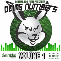 Doing Numbers Volume 1