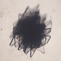 MMLXXVII