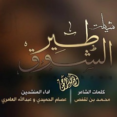 شيلة : طير الشوق