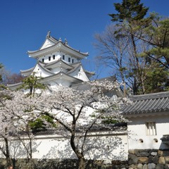 Chris Havok x Mizukage - Nagashino