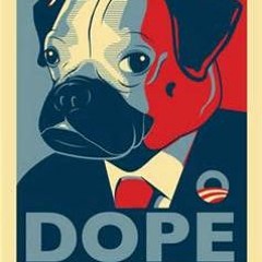 Sellin Dope Fuckin Hoes